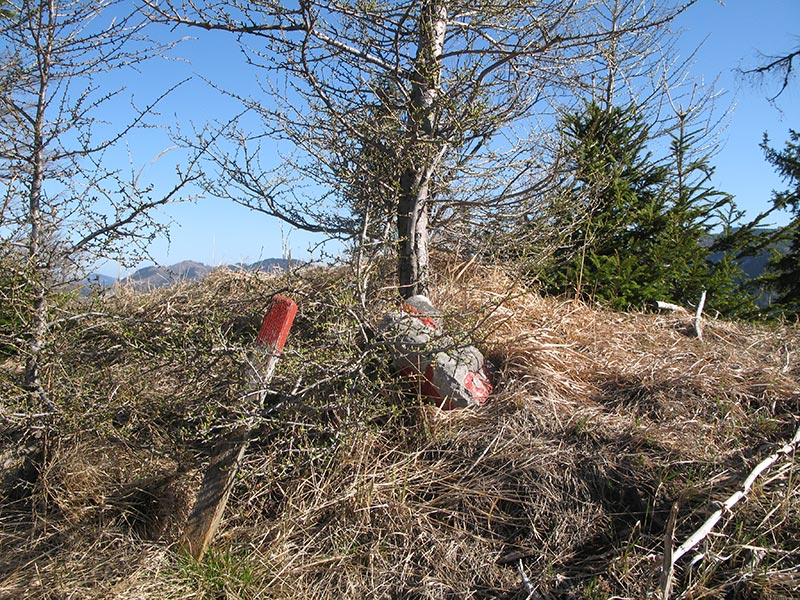 spielmannkogel